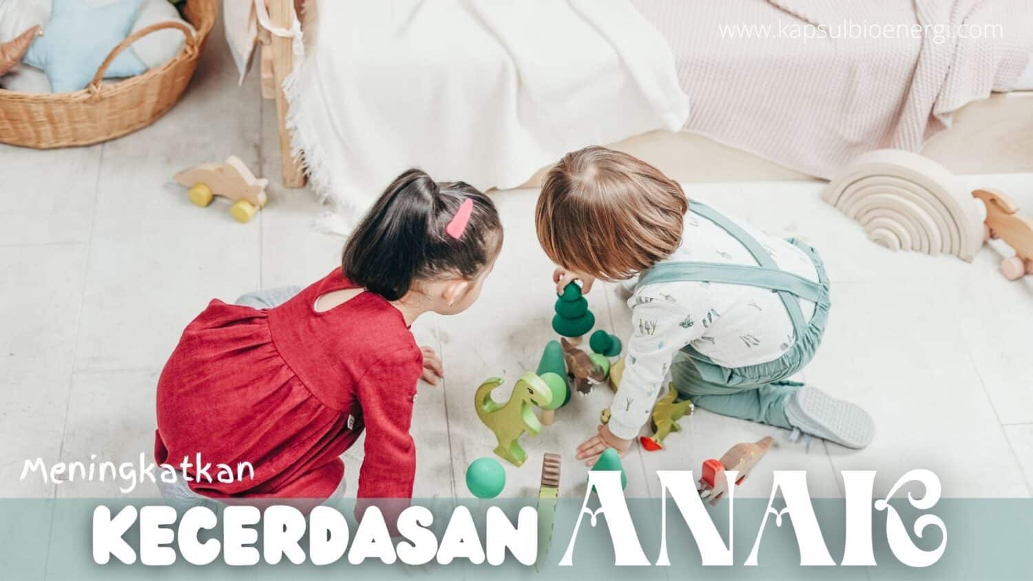 Cara Cerdaskan Anak - Kapsul Bioenergi