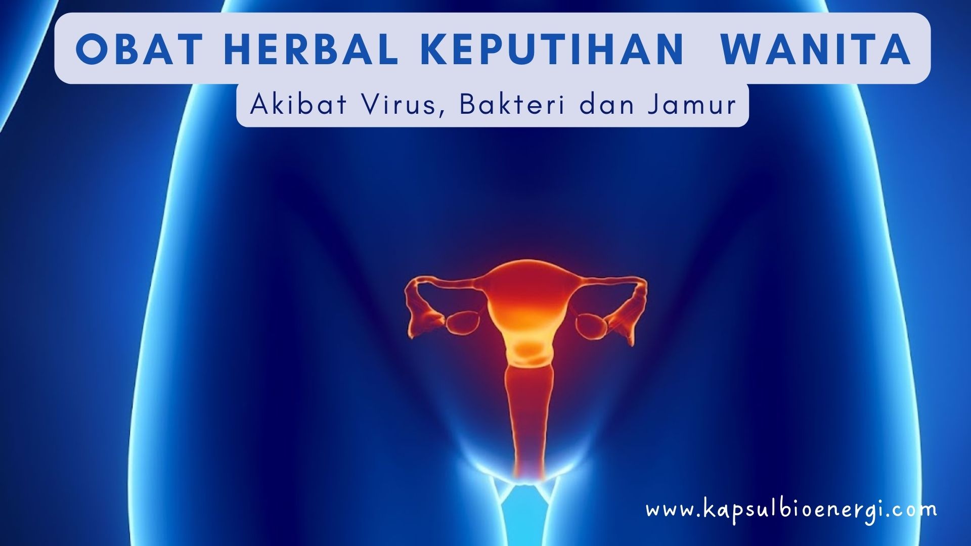 Obat Keputihan Pada Wanita Bagian 3; Ramuan Herbal