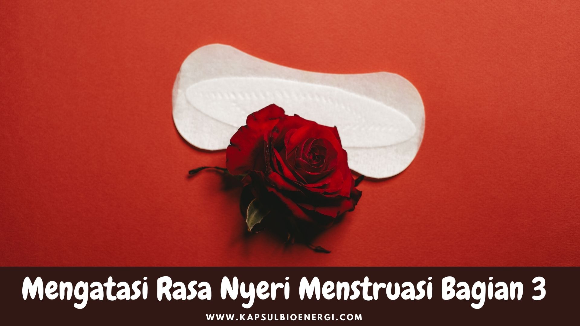 Mengatasi Rasa Nyeri Menstruasi Bagian 3; Solusi Herbal
